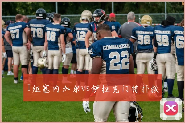 I组塞内加尔vs伊拉克门将扑救